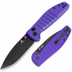 Couteau Bestechman Goodboy Violet G10 Handle Lame Acier Acier D2 PVD Linerlock BTKMK10G - Livraison Gratuite